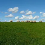 Gaestehaus Zur Alten Post Apartman