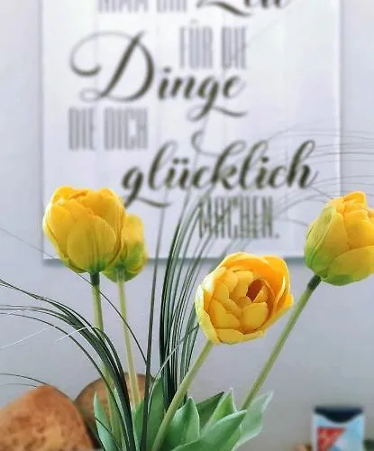아파트 Gaestehaus Zur Alten Post 도누메시어